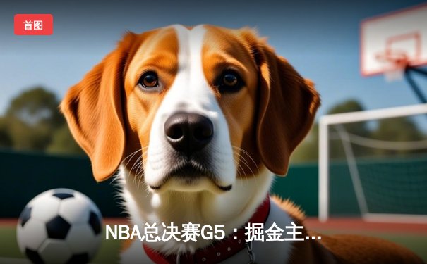 NBA总决赛G5：掘金主场逆转热火夺赛点 约基奇30+20创历史纪录