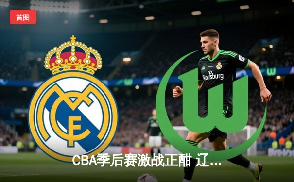 CBA季后赛激战正酣 辽宁本钢力克浙江广厦夺赛点